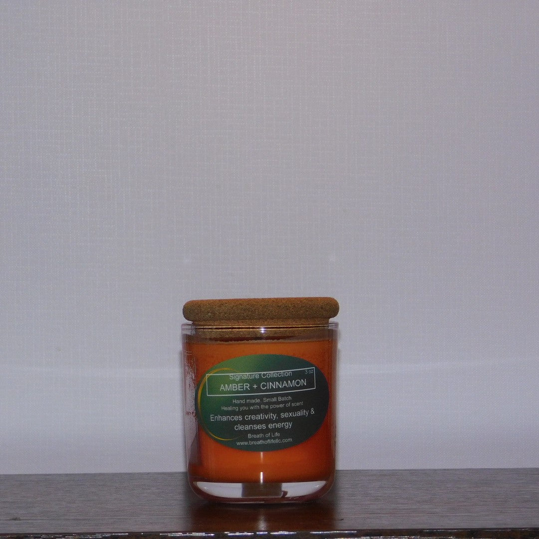 Soy Wax Candles Amber + Cinnamon