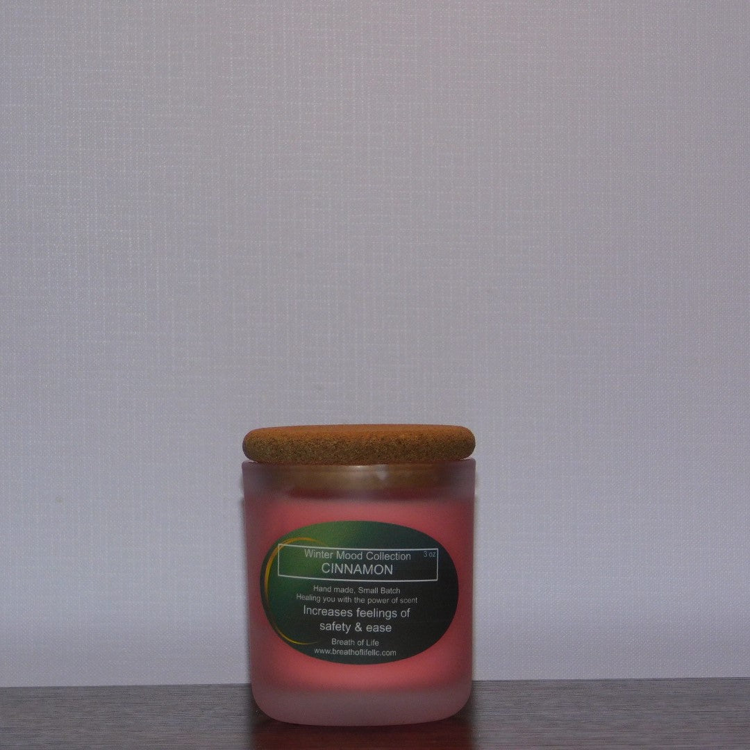 Soy Wax Candles Cinnamon