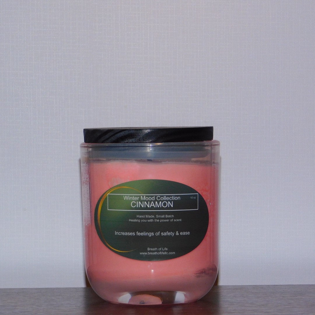 Soy Wax Candles Cinnamon