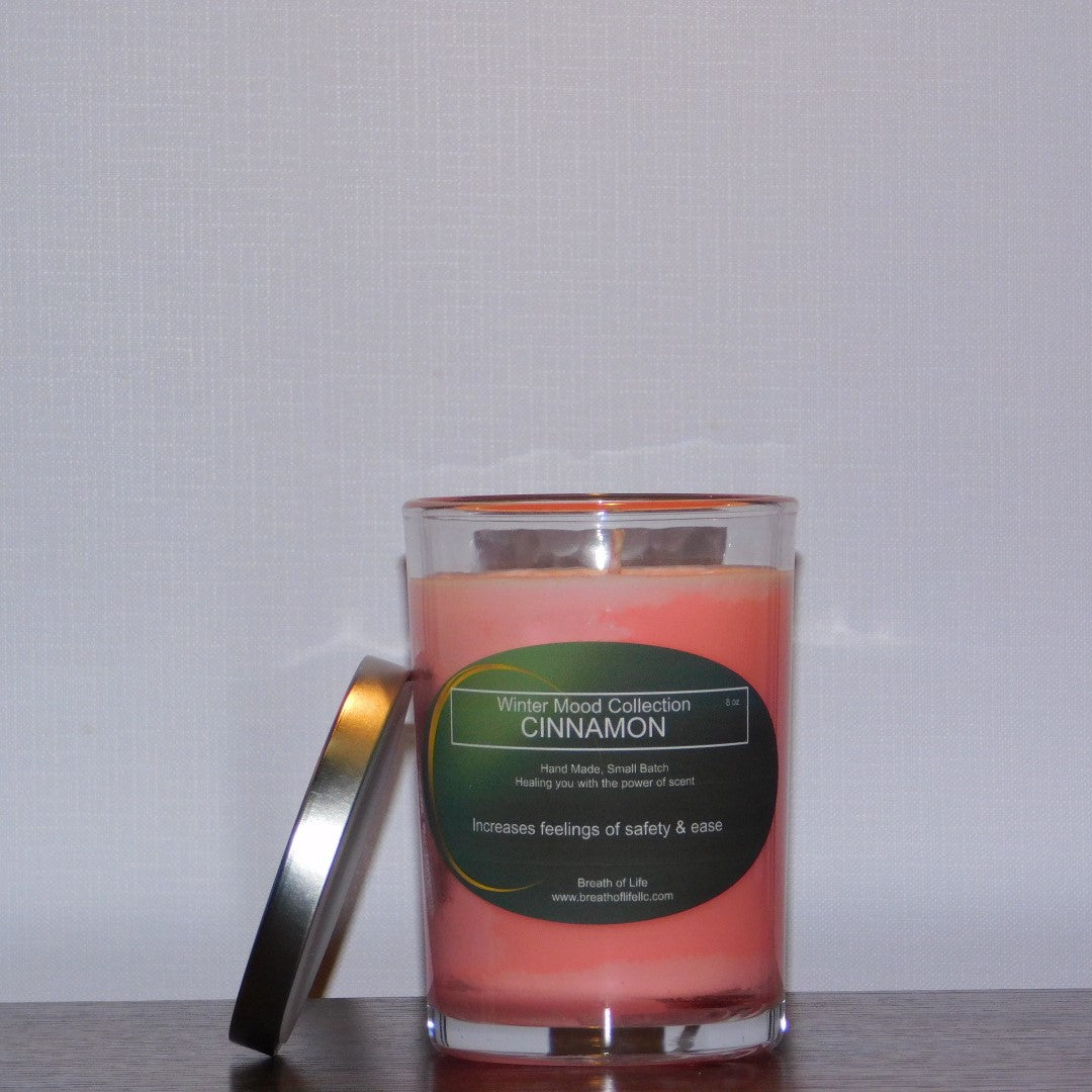 Soy Wax Candles Cinnamon