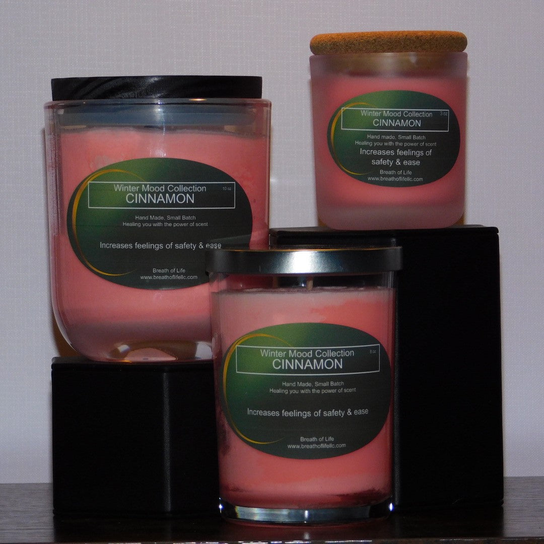 Soy Wax Candles Cinnamon