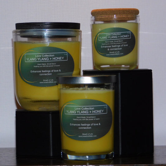 Soy Wax Candles Ylang Ylang + Honey